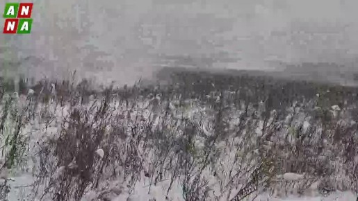 Работа подразделения РХБЗ в зоне СВО