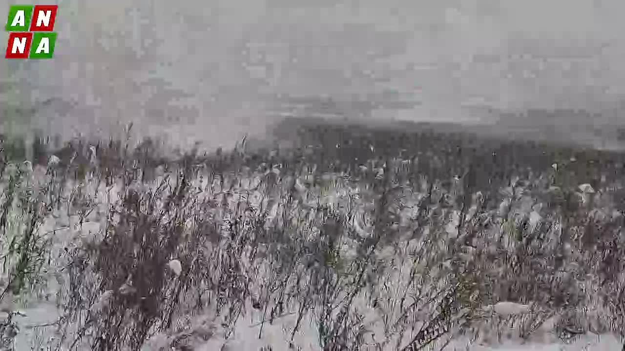 Работа подразделения РХБЗ в зоне СВО