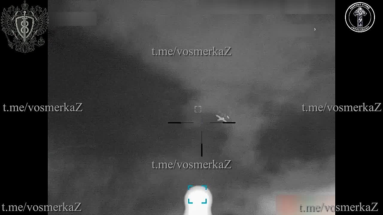 Работа "Ирландцев" и "Омерзительной восьмерки" по уничтожению дронов противника на южном направлении