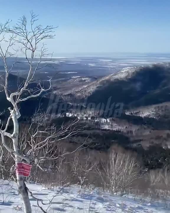 Сноубордистка сутки блуждала по сахалинской сопке без еды и связи — девушка чудом выбралась из зимней чащи