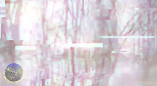 ���� ��������� ������ ���������� ������������ ����� ������ �� �������� ���������� ����� �� �������!