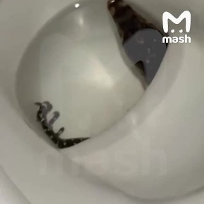 ����������� ����� ������ �� ������� �� ���� � ������� ����-���������-�����-��������� �� ������