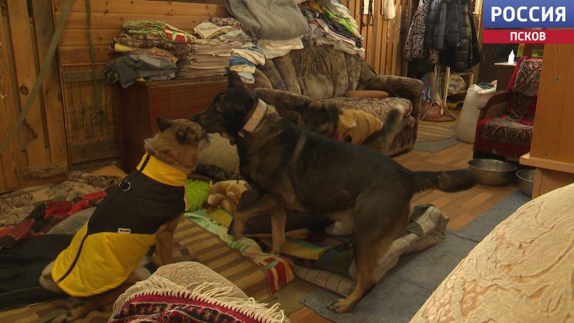 � ��������� ������ ��� �������� "���������" �������� ��������