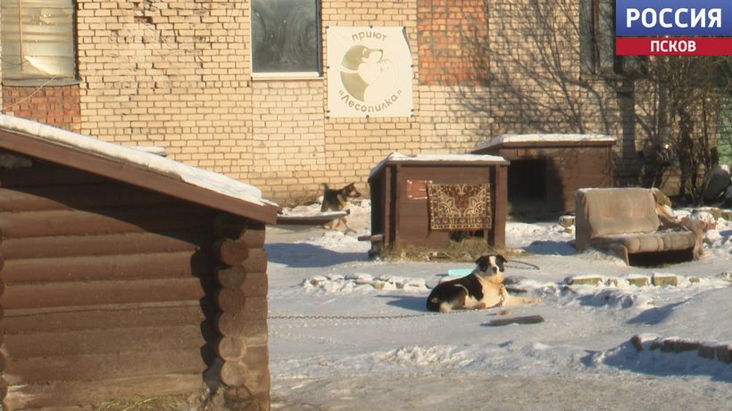 � ��������� ������ ��� �������� "���������" �������� ��������