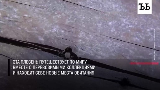 �������� ������� ������� ��������� ��������� ��������� �� ����� ����