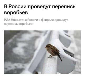 ���� ������: ���� ����� ��� �� ������� � ������� �������� ����-�� ������ � ������������, �� ��� ���, ��������: