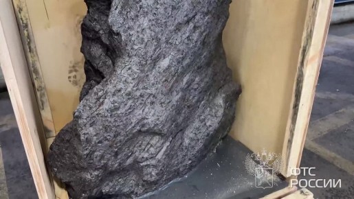 �������� ����� 2,5 � �������� ������� �� ������ � ��������������