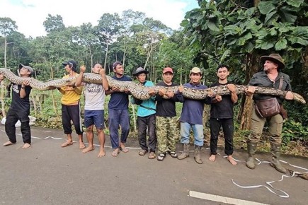 ��������� ��������� ������ �� �������� ��������� ������ � ����� �������� �������� ��� ����� ������� ����� ����