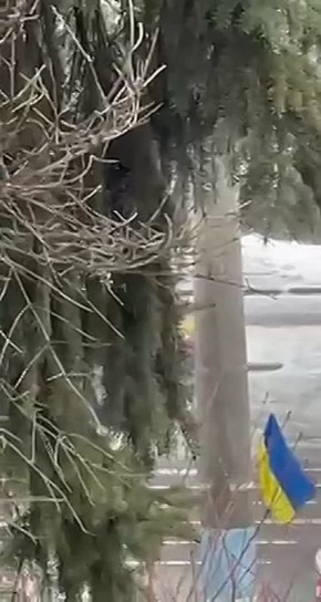 �������� ������� �������� �� ������, ������� ������ ������������� ������������� � ���������