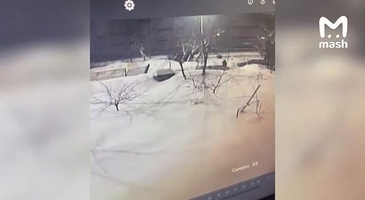 �������� ����������� ��������� �� �������� ���������