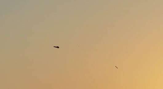 ������� ���������: ����� ���� "��������". ���� �������� ����� ������� ��������� "��������" ���� ����� ��� �������� �����, � ������� �� ������ ������� ����������� ����������