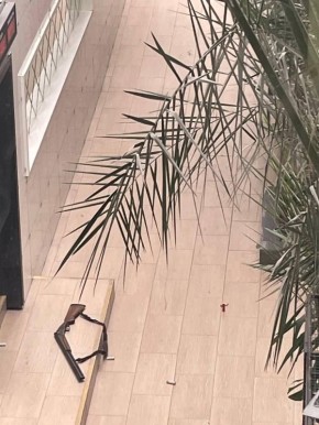 ����������� ��������� ������������� ��������, ��������� � ������ �� �������� � �����