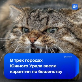 �������� ��-�� ������ ��������� ����� � ����������� �������