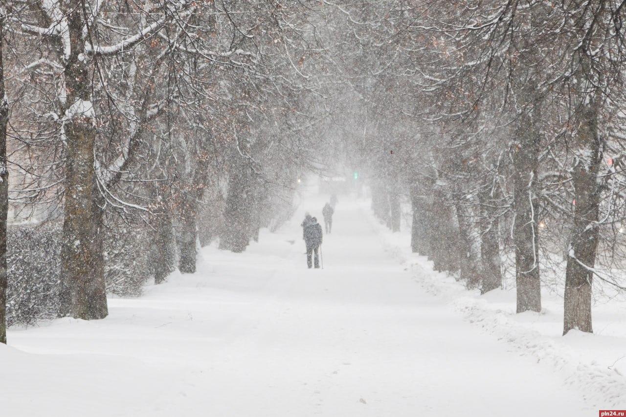До -13 градусов и сильный снег прогнозируют в Псковской области 14 февраля
