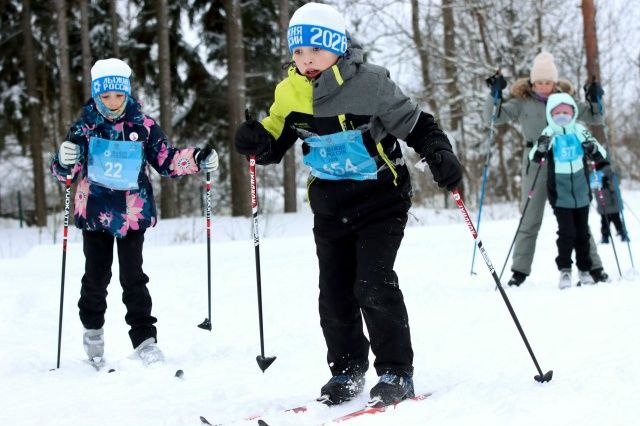 Более 450 участников приняли участие во Всероссийской массовой гонке «Лыжня России»
