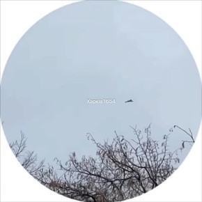 ��� �������� � �������� �������� ���� "������"