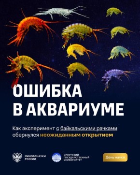 Эксперимент с байкальскими амфиподами