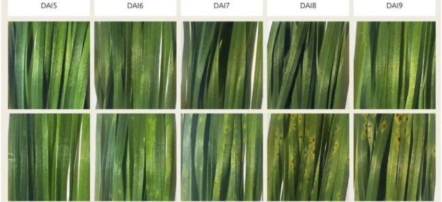 ������ �� �����-���������� ����������� �������� ��������� �������� �������������������� �������� �� ������ ������