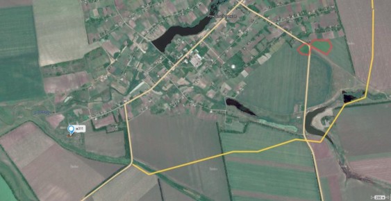 ���������� ���������� ���. ������������� 2025 ���