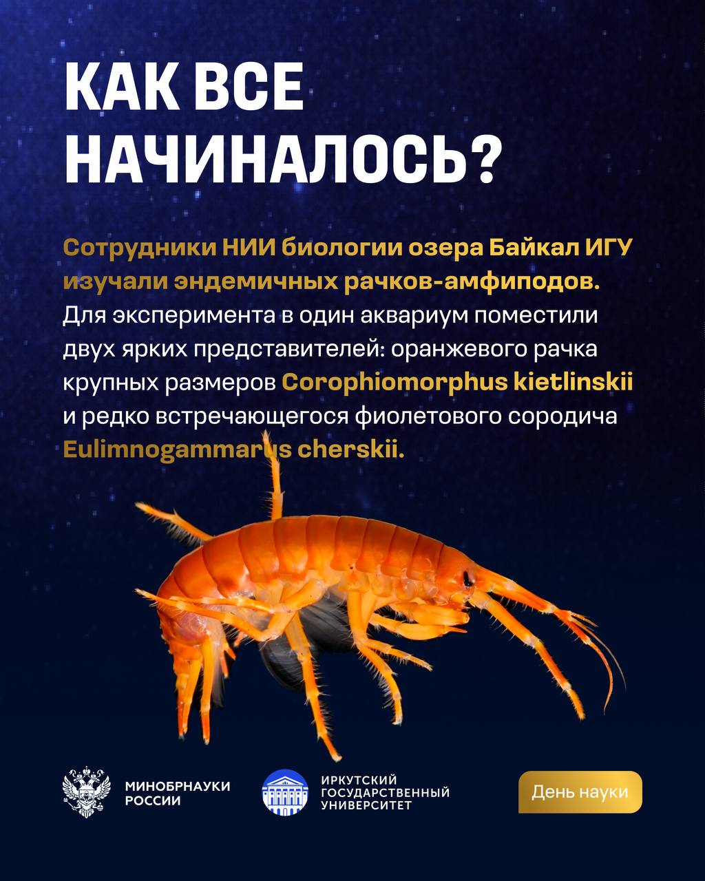 Эксперимент с байкальскими амфиподами Эксперимент с байкальскими амфиподами