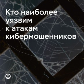 Кто наиболее уязвим к атакам кибермошенников