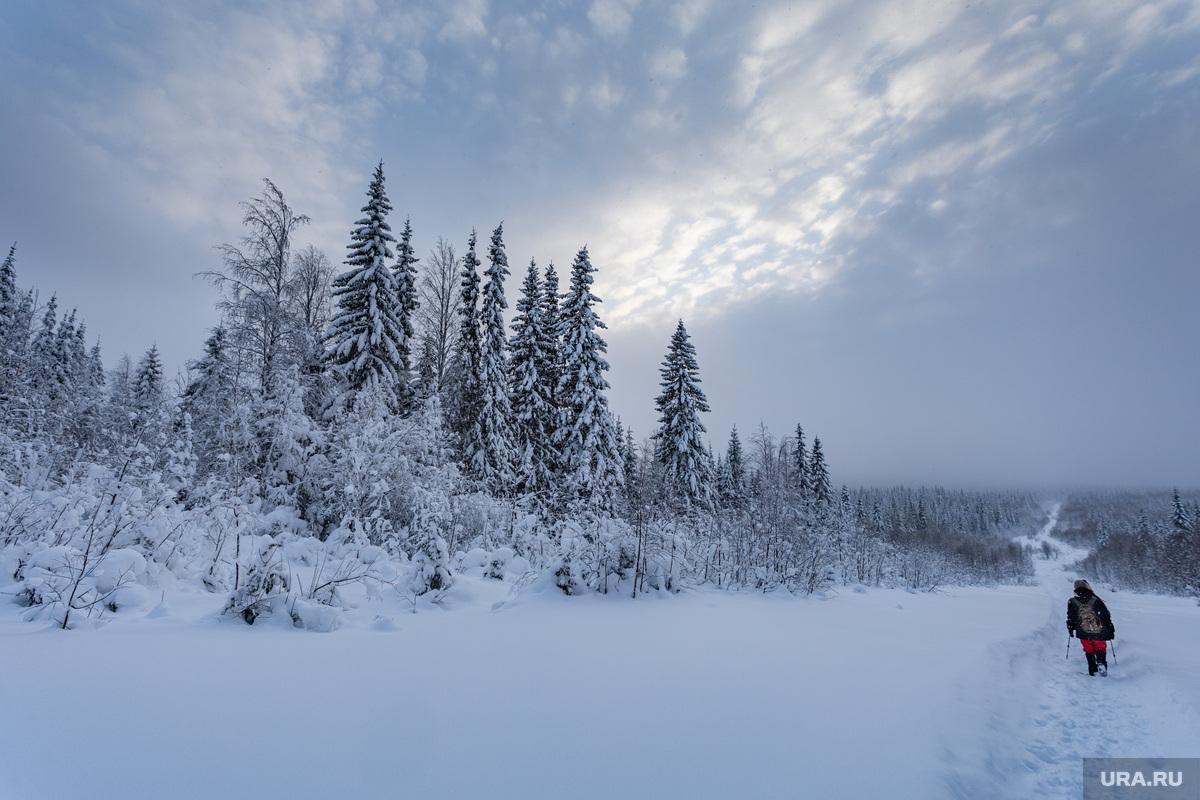 Запросили помощь, но в итоге отказались
