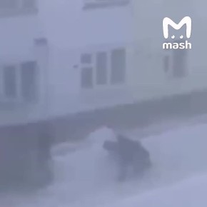 ������ ����� ������ ����� � ������� ����� � ��� �� ������� � ������ ������ �� ������ �� ������������, ����� ������ ������ � ����� ��������