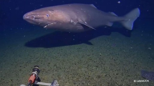 "��� �������� � ��������� �����"