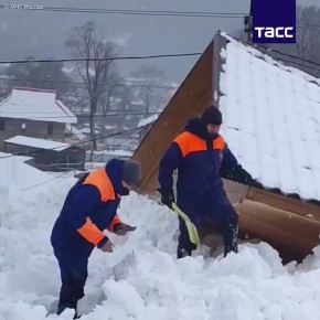 ������ ����� � ������� ����� � ���������-��������, �������� ���� � ���