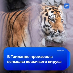 ������� ��������� ������ ��������� � ��������