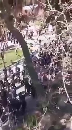 ������ ������: � ����� ���������� �������� �������������� ��������