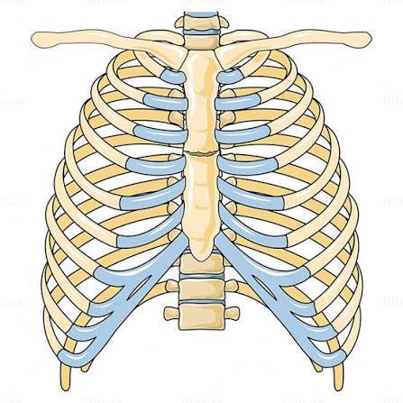 Еженедельная авторская колонка; Еженедельная авторская колонка;