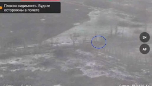 ������� ���������: �������� ������� ������� ���������� ��������� � ��������� �������� ������ �� ������������� ����������� ����� "������" � ����������� �������