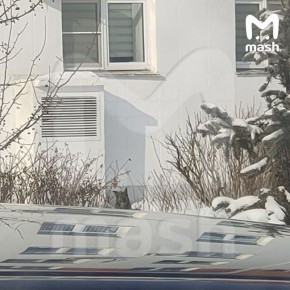 ������, ��-�� ������� "���� �����" ��������� � ��������, �������� �������� � ��������� � ����������� ����� ��� ��������� ��������