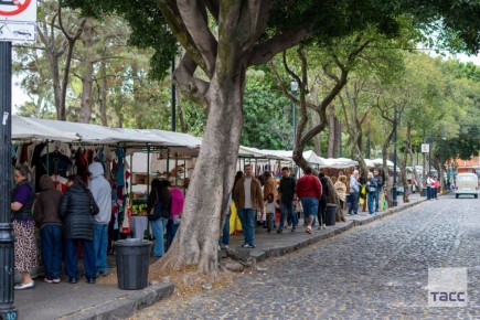 ���������� � ������� ������� �������� ��������� �� ���� ����������� � ����� �������