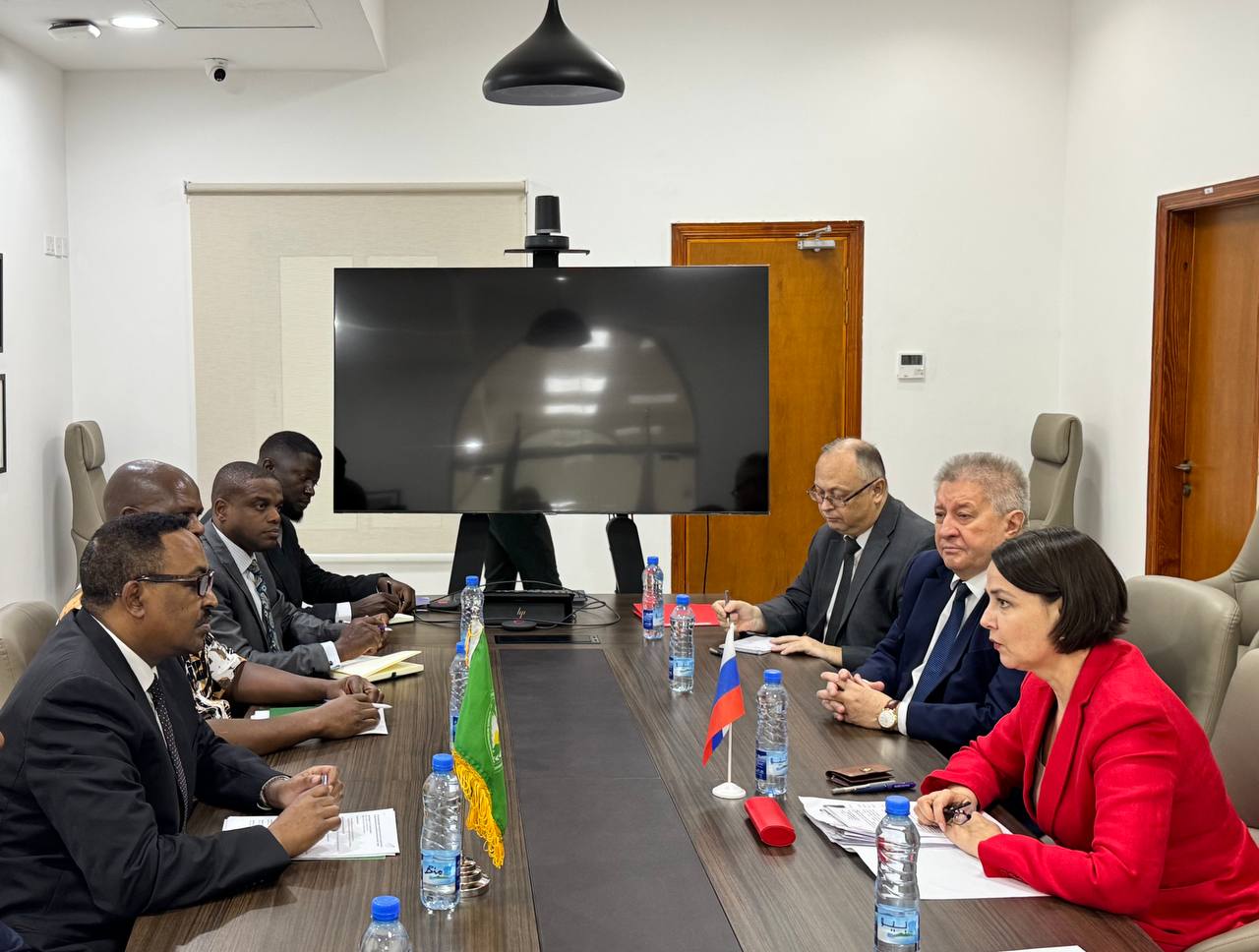 23 февраля в Джибути директор Департамента партнёрства с Африкой Т.Е.Довгаленко провела консультации с Исполнительным секретарем Межправительственной организации по развитию (#ИГАД) Воркнехом Гебейеху