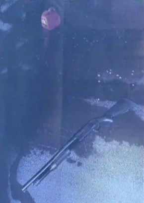 ����� �������� �������� �������, ������������� � ���������� ������ �� �������