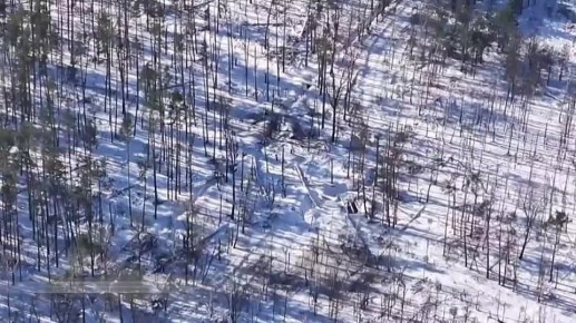 ����������������� ������ ����� ����������, ��� ����������� ����� � ��� �� ��� �������, � ��� ��������, �������� � ������ ������������� ��� �����������