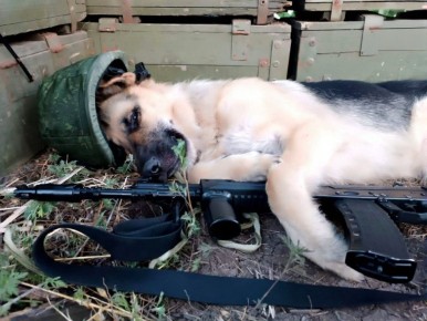 Моменты СВО. Будни фронта