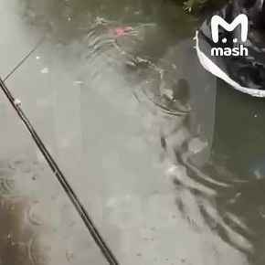 ������ ������ �� ������ ���� � � ������� ������ ������ � ������� ������� �������� ��������� ������� �������� ���������