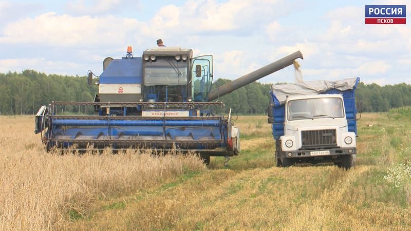 Экспортеры продукции АПК смогут компенсировать до 100% затрат на транспортировку: прием заявок стартует 26 февраля