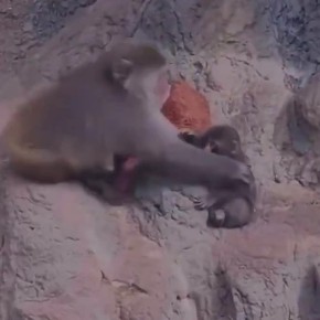 ��������� �����, �� ������� �������� �������� �������� �������� ������ �� ������ ����