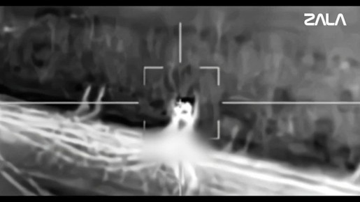 ������ �������� ��������� ��������������� ���� ���