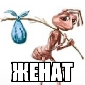 ���������� ��������. ������, � ���������� ���� � �������� ������ ����� ���������� ���