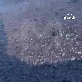 ����� �������� � �������� ������������� ������ ������� ��-�� ������� � ����� � ��������������� �������� �� ������ ������� �� ����, ����, ������ � ����� �����