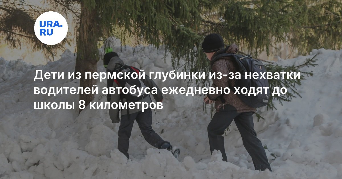 Ученики из пермской глубинки ходят 8 км пешком до школы — уже 2 года там не могут найти водителя автобуса