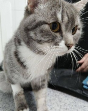 ���������� � ���������� ������ ����, �������� �������� ��������� � ���������� ������, �������� ���������� ����������� ��������� �������