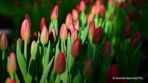 ��������� ������ ��������� �� ��� ������� �� 6,9%, �� 3 600 ������, � �� ����� ��� ����� ��� ��������� �� 9%, �� 4 500 ������, �������� ���� � Flowwow