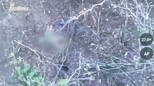 ������ ��� ����� �� ��������: ��� ���� �� �� � �������� ��������� ����������� ���