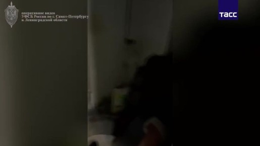 В Петербурге задержали лжесотрудников ФСБ, вымогавших деньги у бизнесмена